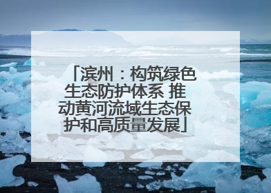 滨州：构筑绿色生态防护体系 推动黄河流域生态保护和高质量发展