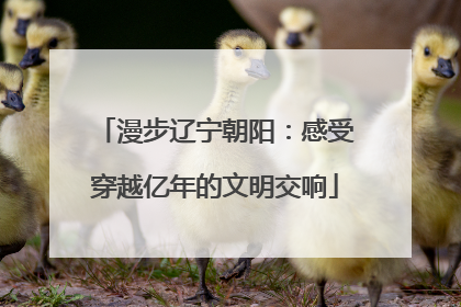 漫步辽宁朝阳：感受穿越亿年的文明交响
