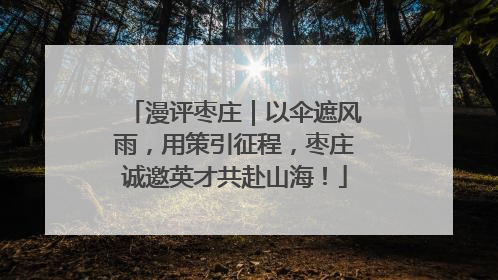 漫评枣庄｜以伞遮风雨，用策引征程，枣庄诚邀英才共赴山海！