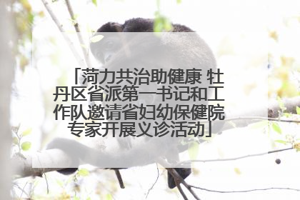 菏力共治助健康 牡丹区省派第一书记和工作队邀请省妇幼保健院专家开展义诊活动