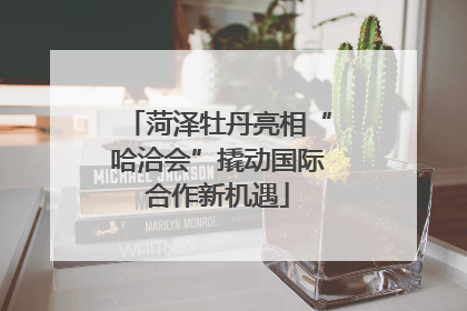 菏泽牡丹亮相“哈洽会”撬动国际合作新机遇