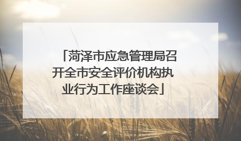 菏泽市应急管理局召开全市安全评价机构执业行为工作座谈会