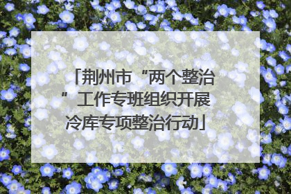 荆州市“两个整治”工作专班组织开展冷库专项整治行动