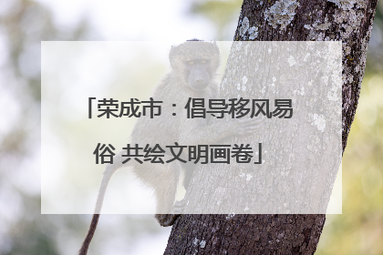 荣成市：倡导移风易俗 共绘文明画卷