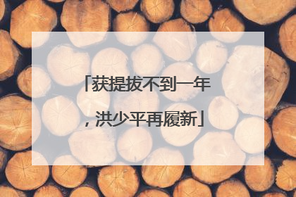 获提拔不到一年，洪少平再履新