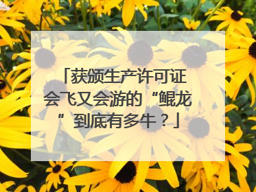 获颁生产许可证 会飞又会游的“鲲龙”到底有多牛？