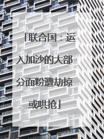 联合国：运入加沙的大部分面粉遭劫掠或哄抢