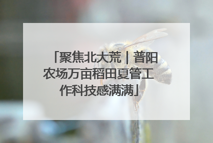 聚焦北大荒｜普阳农场万亩稻田夏管工作科技感满满