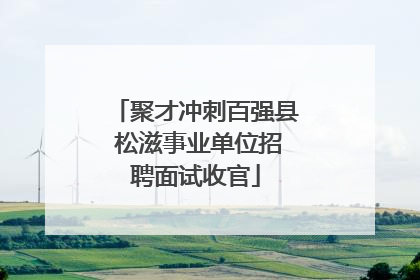 聚才冲刺百强县 松滋事业单位招聘面试收官