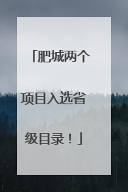 肥城两个项目入选省级目录！