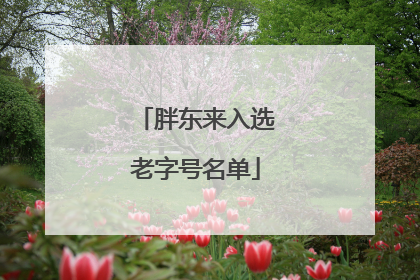 胖东来入选老字号名单