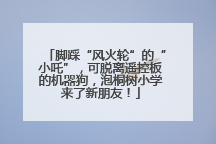 脚踩“风火轮”的“小吒”，可脱离遥控板的机器狗，泡桐树小学来了新朋友！