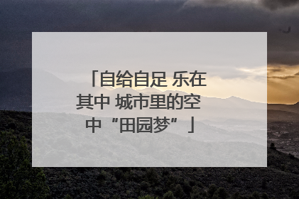 自给自足 乐在其中 城市里的空中“田园梦”