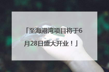 至海港湾项目将于6月28日盛大开业！
