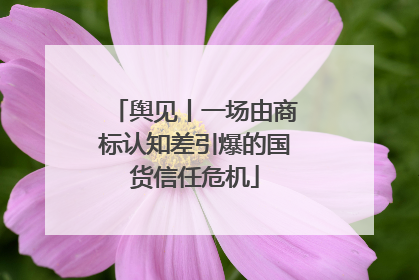 舆见丨一场由商标认知差引爆的国货信任危机