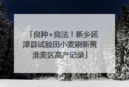 良种+良法！新乡延津县试验田小麦刷新黄淮麦区高产记录