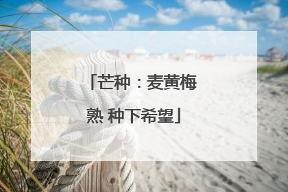 芒种：麦黄梅熟 种下希望