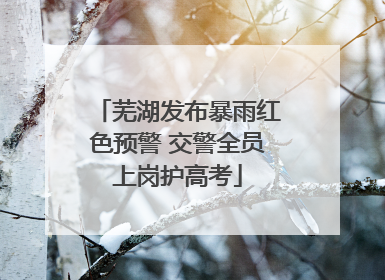 芜湖发布暴雨红色预警 交警全员上岗护高考