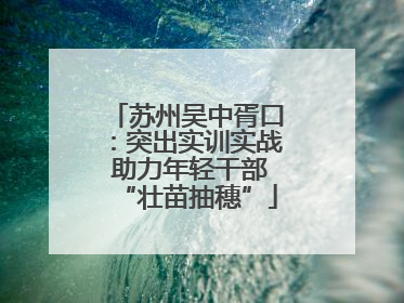苏州吴中胥口：突出实训实战 助力年轻干部“壮苗抽穗”