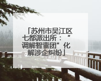 苏州市吴江区七都派出所：“调解智囊团”化解涉企纠纷