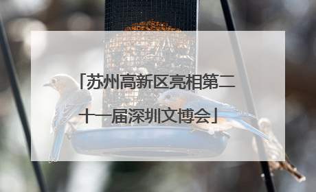 苏州高新区亮相第二十一届深圳文博会