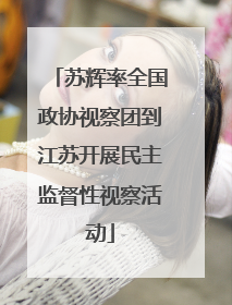 苏辉率全国政协视察团到江苏开展民主监督性视察活动