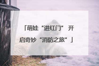 萌娃“进红门” 开启奇妙“消防之旅”