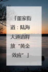 董家街道：陆海大通道释放“黄金效应”