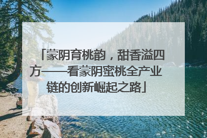 蒙阴育桃韵，甜香溢四方——看蒙阴蜜桃全产业链的创新崛起之路