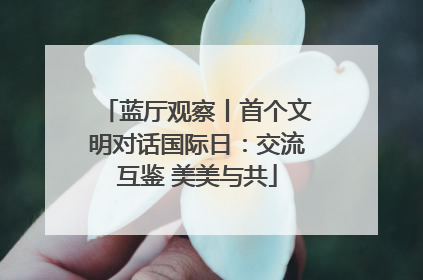 蓝厅观察丨首个文明对话国际日：交流互鉴 美美与共