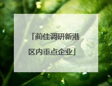 蔺佳调研新港区内重点企业