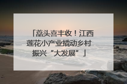 藠头喜丰收！江西莲花小产业撬动乡村振兴“大发展”