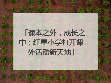 课本之外，成长之中：红星小学打开课外活动新天地