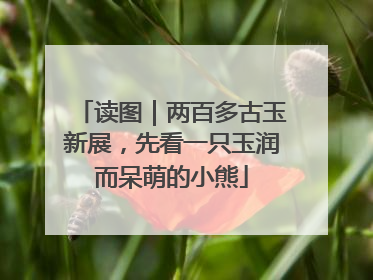 读图｜两百多古玉新展，先看一只玉润而呆萌的小熊