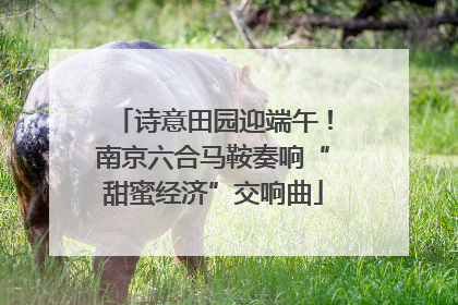 诗意田园迎端午！南京六合马鞍奏响“甜蜜经济”交响曲