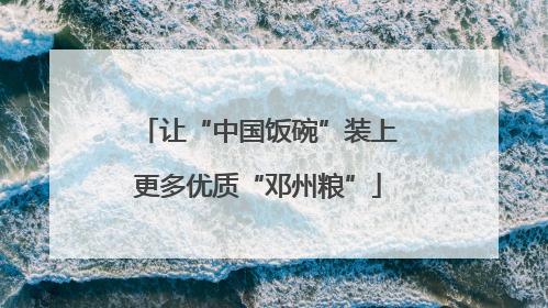 让“中国饭碗”装上更多优质“邓州粮”