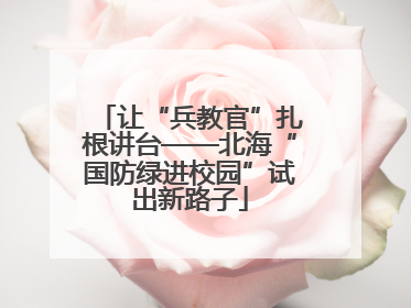 让“兵教官”扎根讲台——北海“国防绿进校园”试出新路子