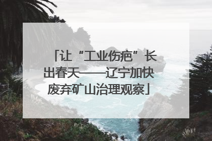 让“工业伤疤”长出春天——辽宁加快废弃矿山治理观察