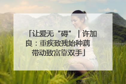 让爱无“碍”｜许加良：重疾致残始种藕 带动致富靠双手
