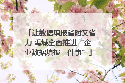 让数据填报省时又省力 禹城全面推进“企业数据填报一件事”