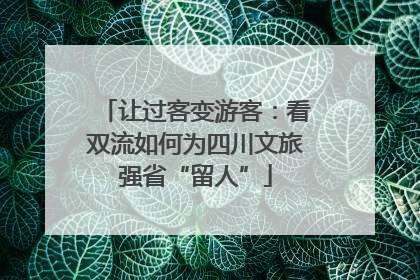 让过客变游客：看双流如何为四川文旅强省“留人”