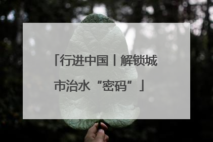 行进中国丨解锁城市治水“密码”