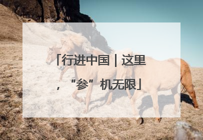 行进中国｜这里，“参”机无限