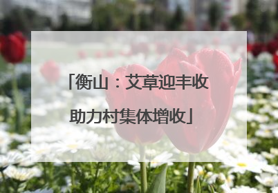 衡山：艾草迎丰收 助力村集体增收