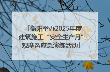 衡阳举办2025年度建筑施工“安全生产月”观摩暨应急演练活动