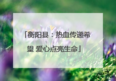 衡阳县：热血传递希望 爱心点亮生命