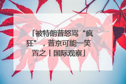 被特朗普怒骂“疯狂”，普京可能一笑置之丨国际观察