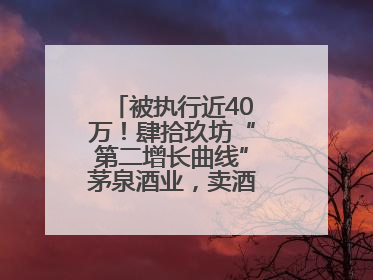 被执行近40万！肆拾玖坊“第二增长曲线”茅泉酒业，卖酒还是卖模式？
