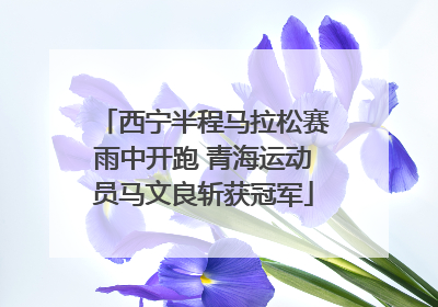 西宁半程马拉松赛雨中开跑 青海运动员马文良斩获冠军