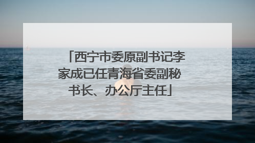 西宁市委原副书记李家成已任青海省委副秘书长、办公厅主任